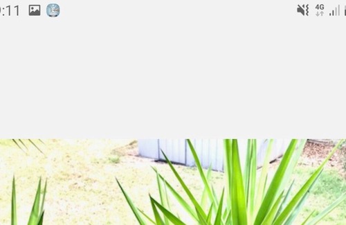 Frankston North House | 3 bedroom house, a haven of peace and serenity