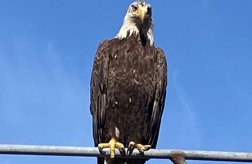 Kodiak House | 3 Bedroom House Kodiak Alaska