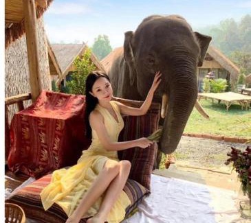 Mae Wang House | 3 Pok Maewang jinxiang Gold elephant park