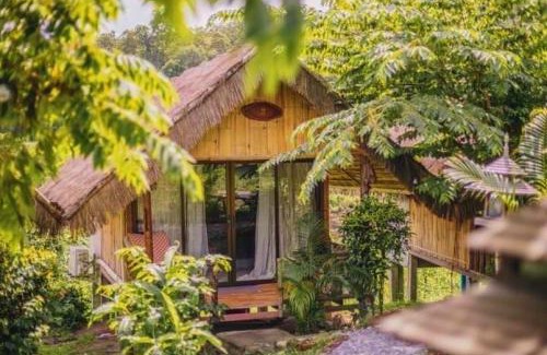 Mae Wang House | 3 Pok Maewang jinxiang Gold elephant park