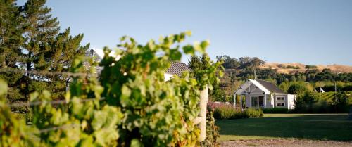 Havelock North Villa | 305 in the Vines