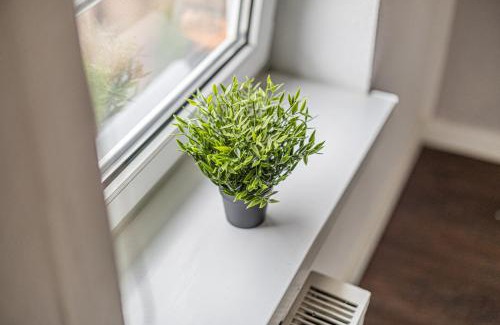 Freiimfelde - Kanenaer Weg Apartment | 4 LH 4-Zimmer-Apartments