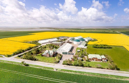 Reussenkoge Apartment | 4-sterne-ferienwohnung "hooge" mit Landlust-ambiente