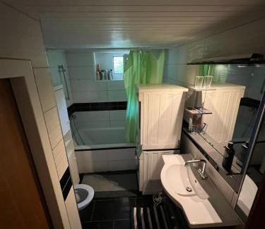 Bolligen House | 5 private rooms station for long term