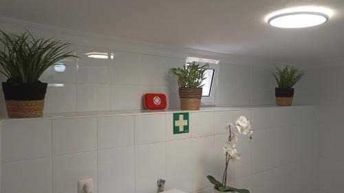 Penamacor House | 9, Cimo da Aldeia