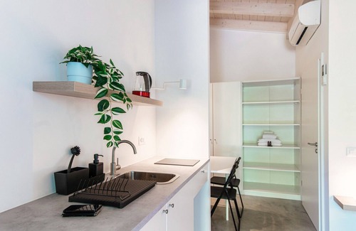 Origlio Apartment | A barrier free studio apartment (LE BETULLE STUDIO 6)