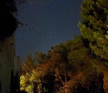 Tomar House | A Casa da Lua