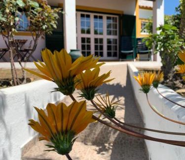 Gaviao House | A Casa da Ti Vina