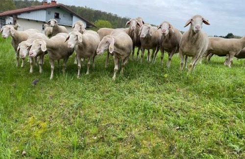 Fernwald House | A&E Rooms