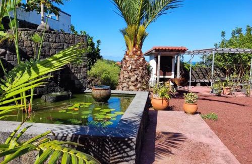 Sao Roque do Pico Apartment | A Fonte