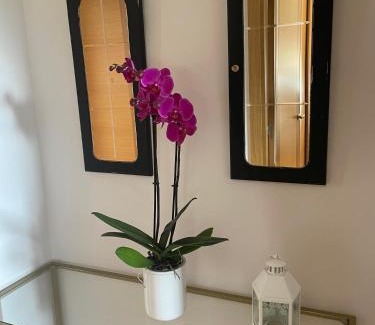 Tui Apartment | A Nogueira