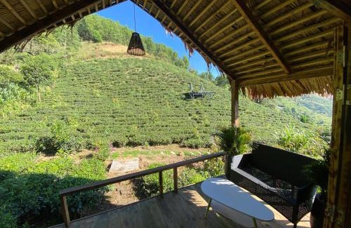 Bao Lam House | A Tea Hillside Bungalow
