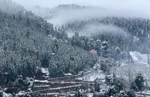 Aleo Bed & Breakfast | Abode Home Cool & Homely Place