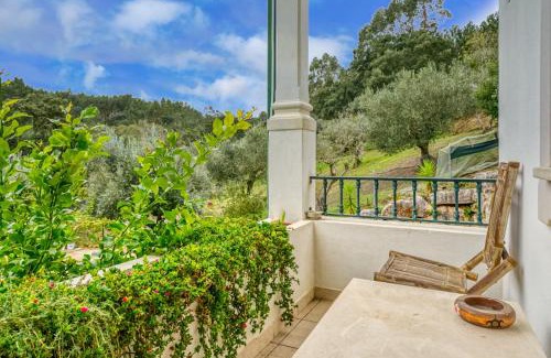 Nossa Senhora das Misericordias Apartment | Abrigo do Castelo - Pica-Pau