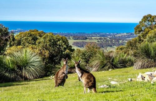 Hindmarsh Valley House | Acacia - Hindmarsh Valley - Linen Included