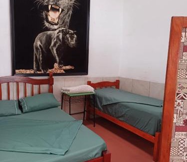 Sao Lourenco do Sul House | Acomodação Central - Fundos