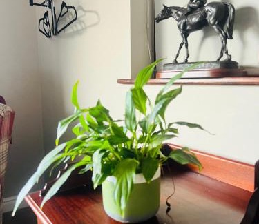 County Meath House | Acrewood House