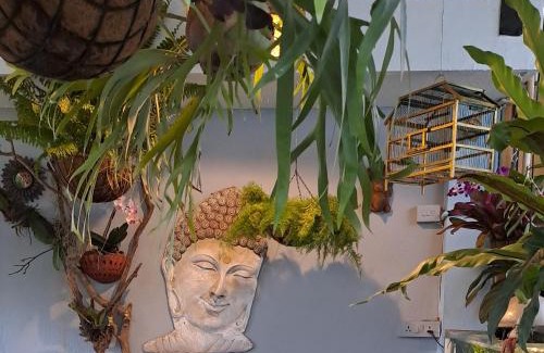 Fontainhas House | Afonso Guest House - Fontainhas