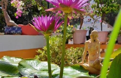 Fontainhas House | Afonso Guest House - Fontainhas