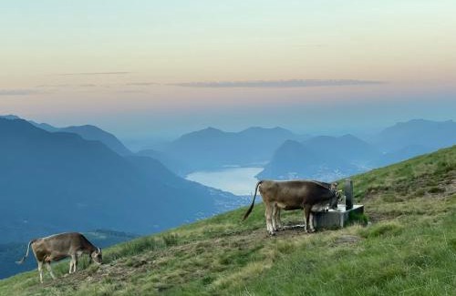 Bidogno House | Agriturismo Alpe Rompiago