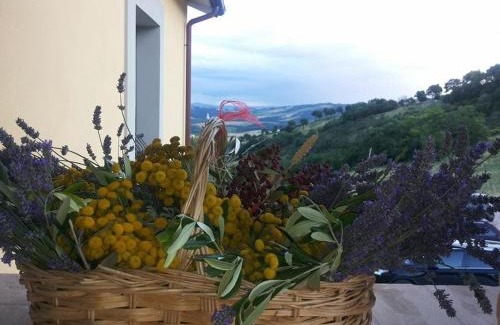 Padule House | Agriturismo Il Moro