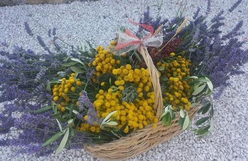 Padule House | Agriturismo Il Moro