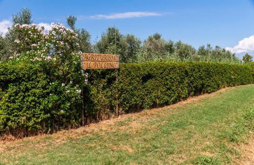 Grosseto House | Agriturismo il Pollino