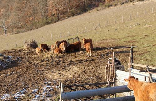 Quartiere XXIV Don Bosco House | Agriturismo Natura e Gusto fattoria didattica