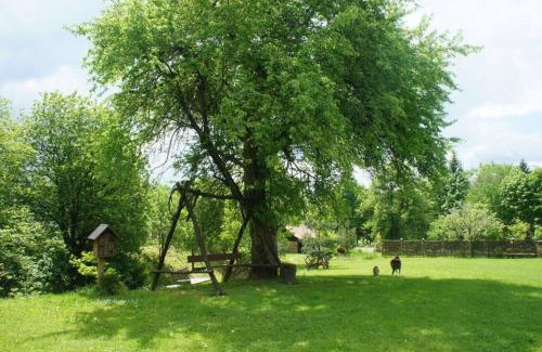 Ustrzyki Dolne Apartment | Agroturystyka Ropienka