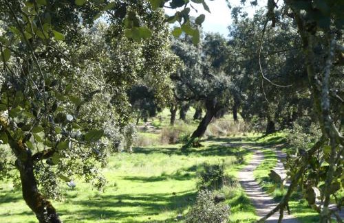 Hinojales House | Agua de mayo