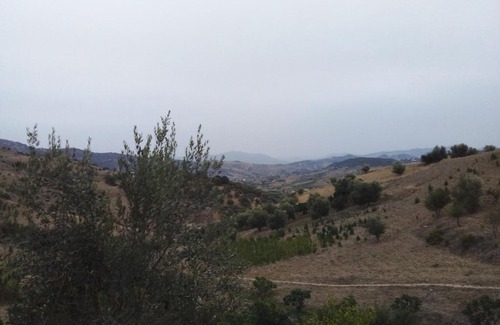 Zoumi House | Ahmed Guest House