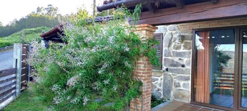 Mondariz Ski Chalet | Airiños de Mondariz