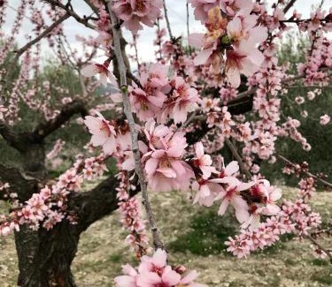 Margarida House | al-qandil