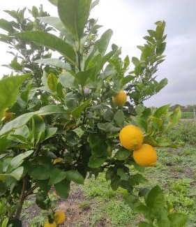 Entre Rios House | Alamos David