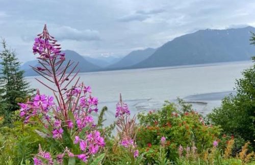 Soldotna Cabin | Alaska Lake + Lodge at Longmere