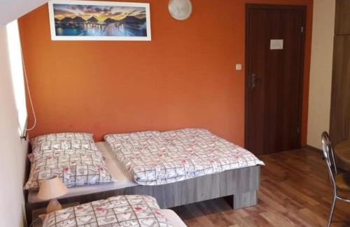 Lancut House | Albinos