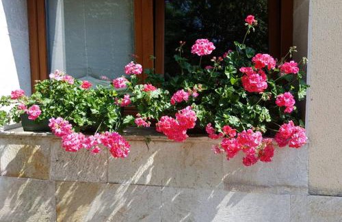 Getxo Villa | Aliga Etxea. Beach & Mountain Village