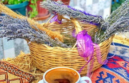 Kuyucak Hotel | Aliya Konak - Köy Evi ve Lezzetleri