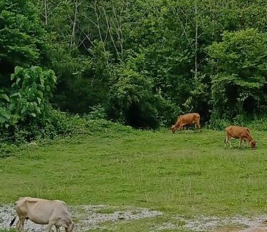 Kuala Pilah House | Aliza Scawa Homestay