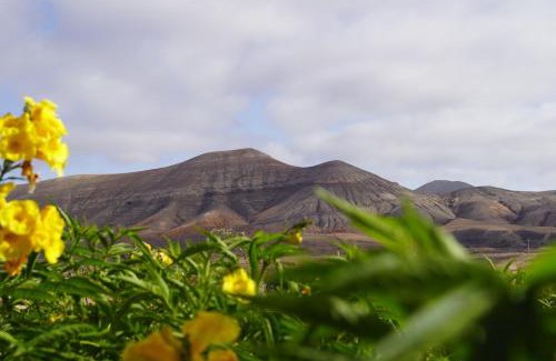 La Oliva Apartment | Aloha Studio