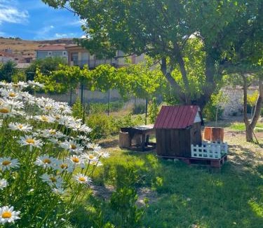 Aldeasona House | Alojamiento Gaia