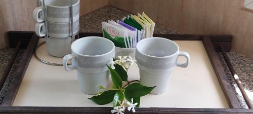 Azul Apartment | alojateenazul2024