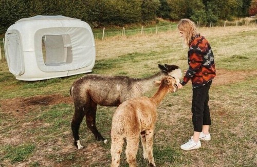 Hohenbucko Other | Alpaka Dream Unique Stay - Cube