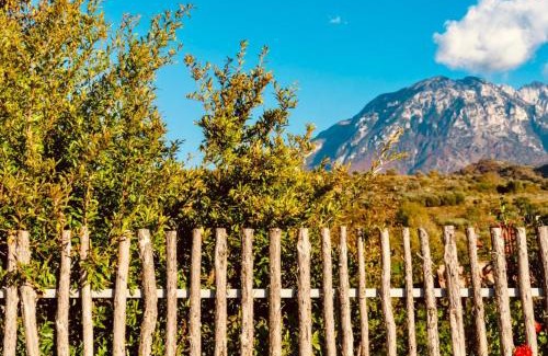 Berat House | Alpeta Agrotourism & Winery - Roshnik , Berat