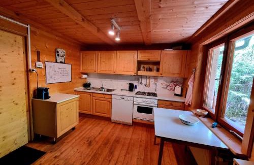 Auen Ski Chalet | Alpine Hut in Murau near Ski Slope