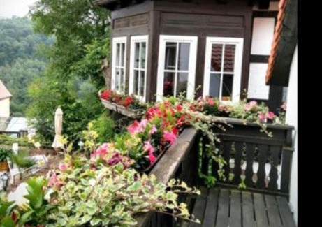 Neuleiningen Hotel | Alte Pfarrey