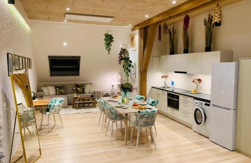 Daniken Apartment | Alte Scheune, Parken-WLAN-Küche-Bad-Tierlieb