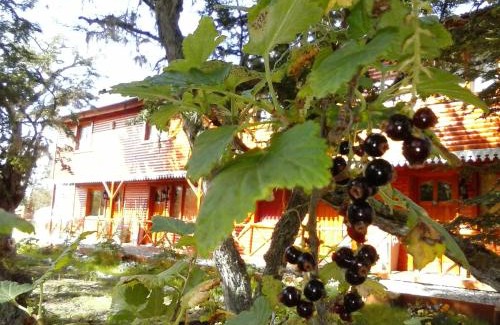 Tolhuin Apartment | Altos de Tolhuin