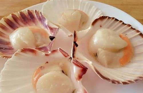 Japuiba Boat Rental | Alugo barco intermarine 440