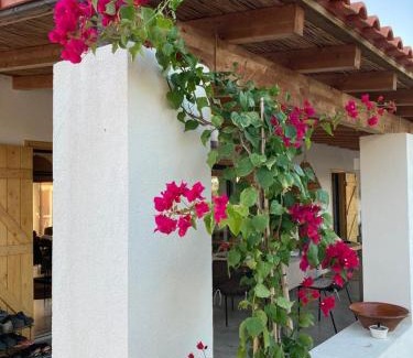 Grandola House | Amélia's House (Casa das Amélias)